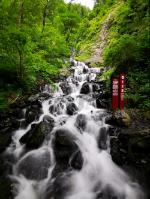 沪江开心词场